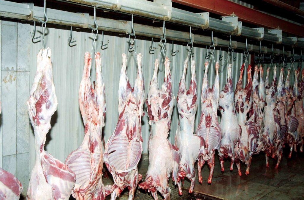 «القابضة الغذائية» تطلق مبادرة لتوفير اللحوم والخراف للعاملين بالشركة