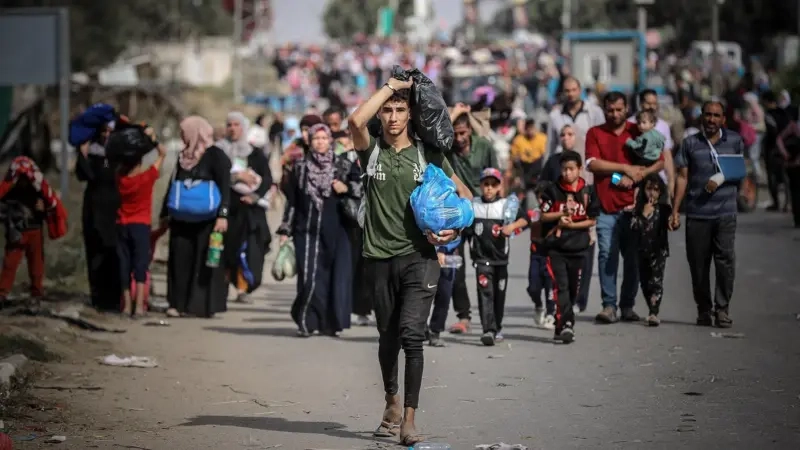 مقرر أممي: الاحتلال يستدرج الفلسطينيين للمساعدات في غزة ثم يقتلهم كالحيوانات