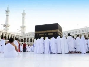 نصفهم من الحج السياحي.. اللجنة العليا: 78.5 ألف عدد الحجاج المصريين موسم 2025