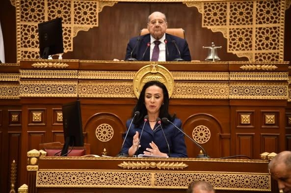 وزيرة التضامن: سنرفع غرامة رد الطفل المكفول إلى دور الرعاية لأكثر من 20 ألف جنيه