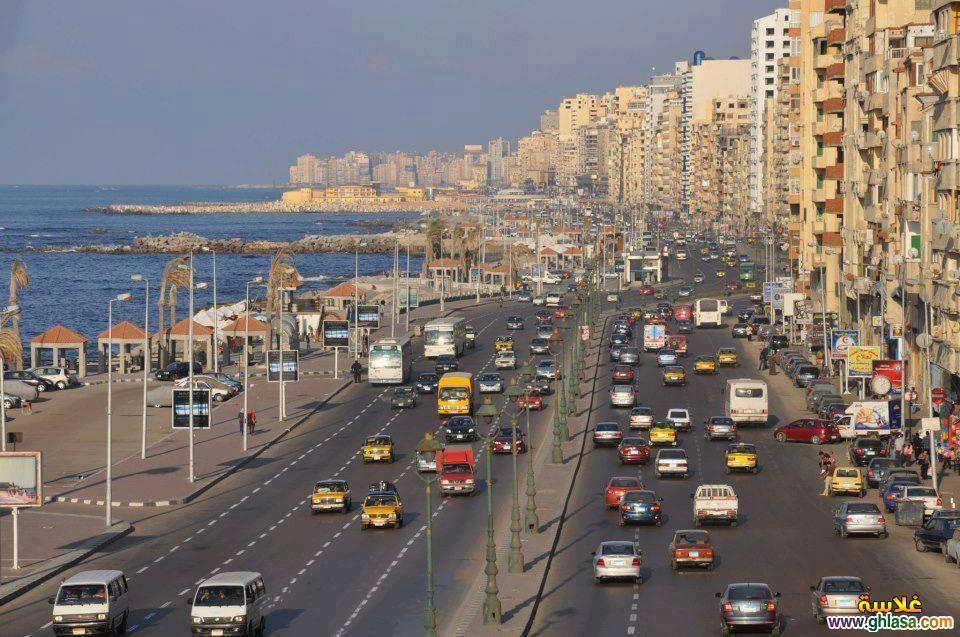 حي العجمي يواصل تنفيذ مشروعات صيانة وتطوير شبكة الإنارة بالإسكندرية