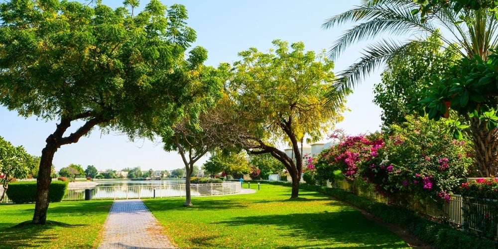 وزيرة دولة: الإمارات تلعب دورا فاعلا في التحول الأخضر وتعزيز الاستدامة