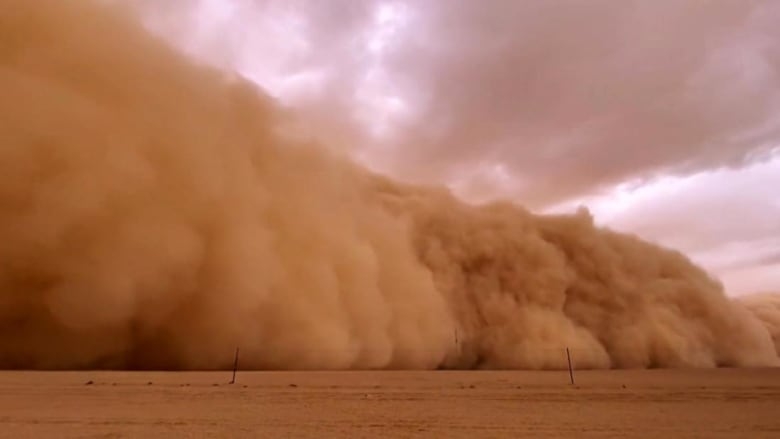 الزراعة تنصح بوقف حصاد القمح والرش لتلافي أضرار العاصفة والتقلبات المناخية غدًا