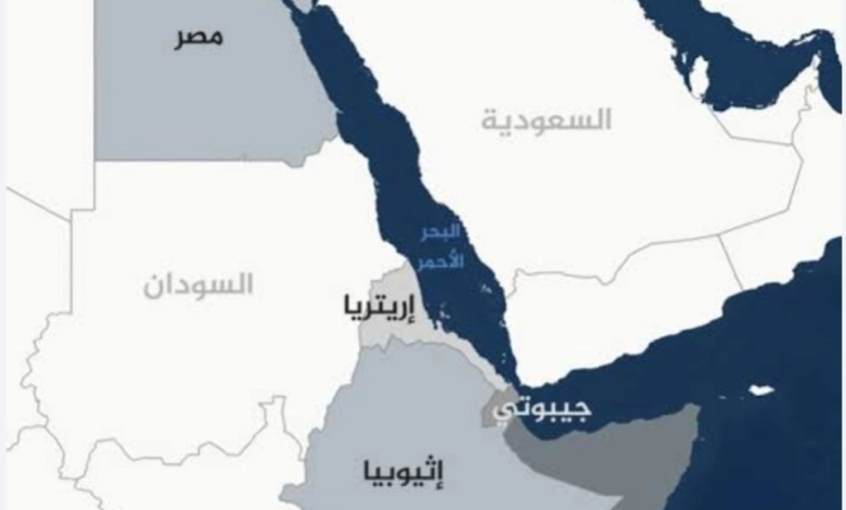 أهمها صادرات الأسمدة والزيوت.. علاقات اقتصادية واعدة بين مصر وجيبوتي رغم التحديات