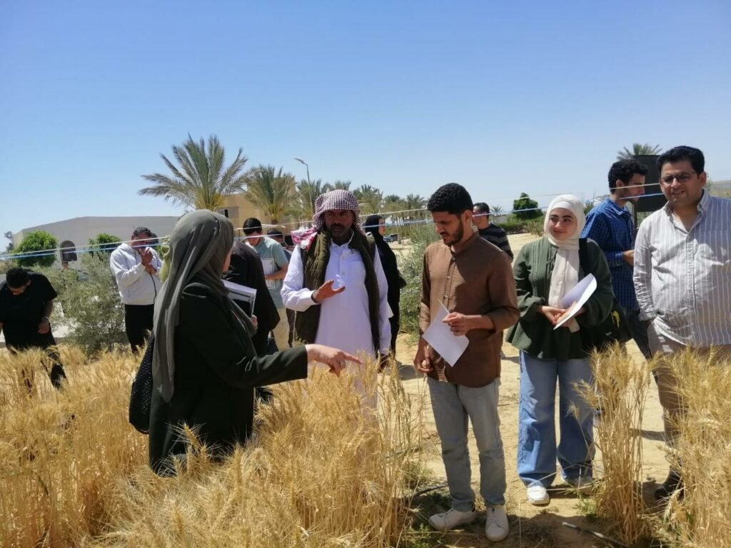 ورشة عمل بمركز بحوث الصحراء حول "الإدارة المتكاملة للأسمدة الذكية لتحقيق التنمية الزراعية المستدامة"