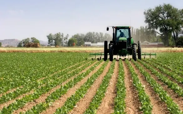 أرباح «وادي كوم أمبو» لاستصلاح الأراضي تنمو 117% خلال 9 أشهر بدعم زيادة الإيرادات