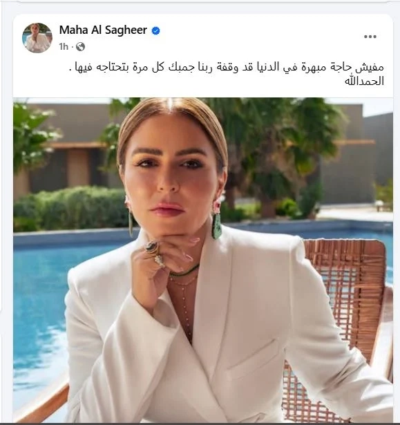 «الأعلى لتنظيم الإعلام» يبحث شكوى مها الصغير