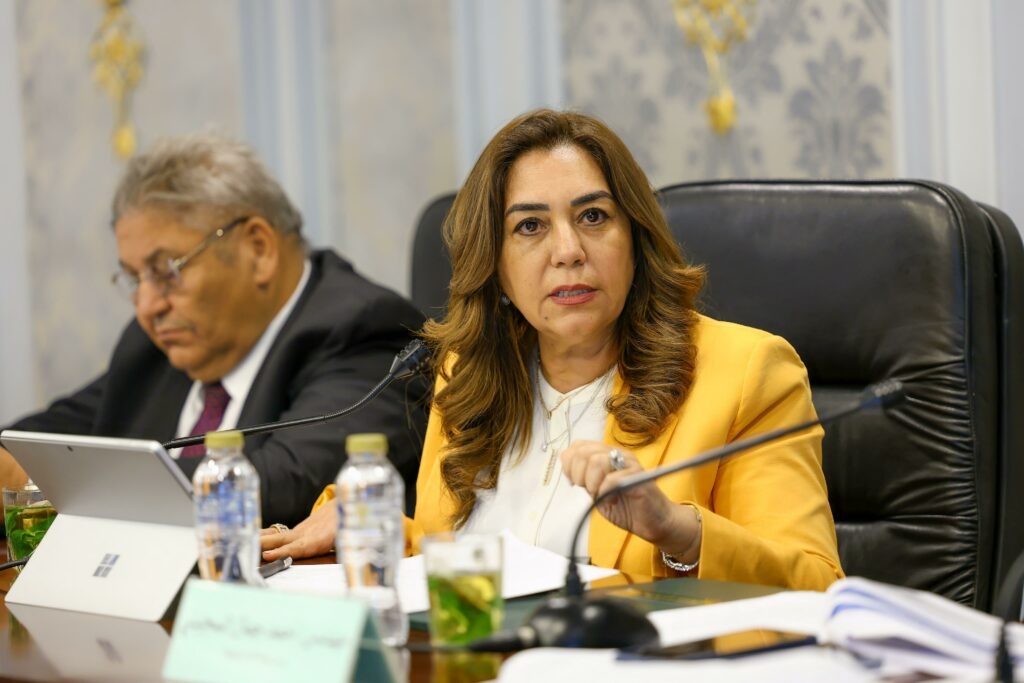بزيادة 525 مليونًا.. منال عوض: 4.3 مليار جنيه إجمالي الموازنة الجديدة لوزارة التنمية