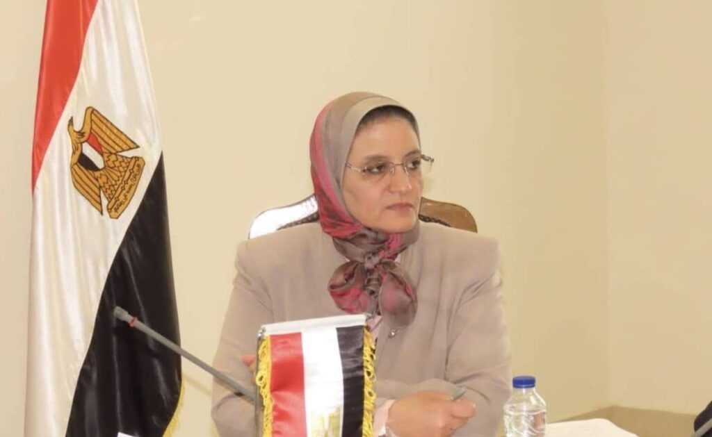 «المصرية لنقل الكهرباء» توافق على زيادة الحافز اليومي للعاملين بفرق الصيانة (مستند)