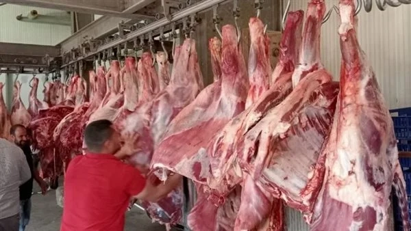 استعدادات مكثفة لاستقبال عيد الأضحى ومنافذ «التموين» و«الزراعة» تتصدر المشهد بعروض مغرية