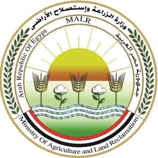 الجيزة في الصدارة.. الزراعة: المجازر الحكومية ذبحت 9898 أضحية للمواطنين في أول أيام العيد