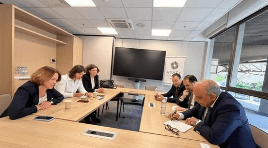 وزير الكهرباء يبحث مع E D F الفرنسية الشراكة في مجالات الطاقات المتجددة
