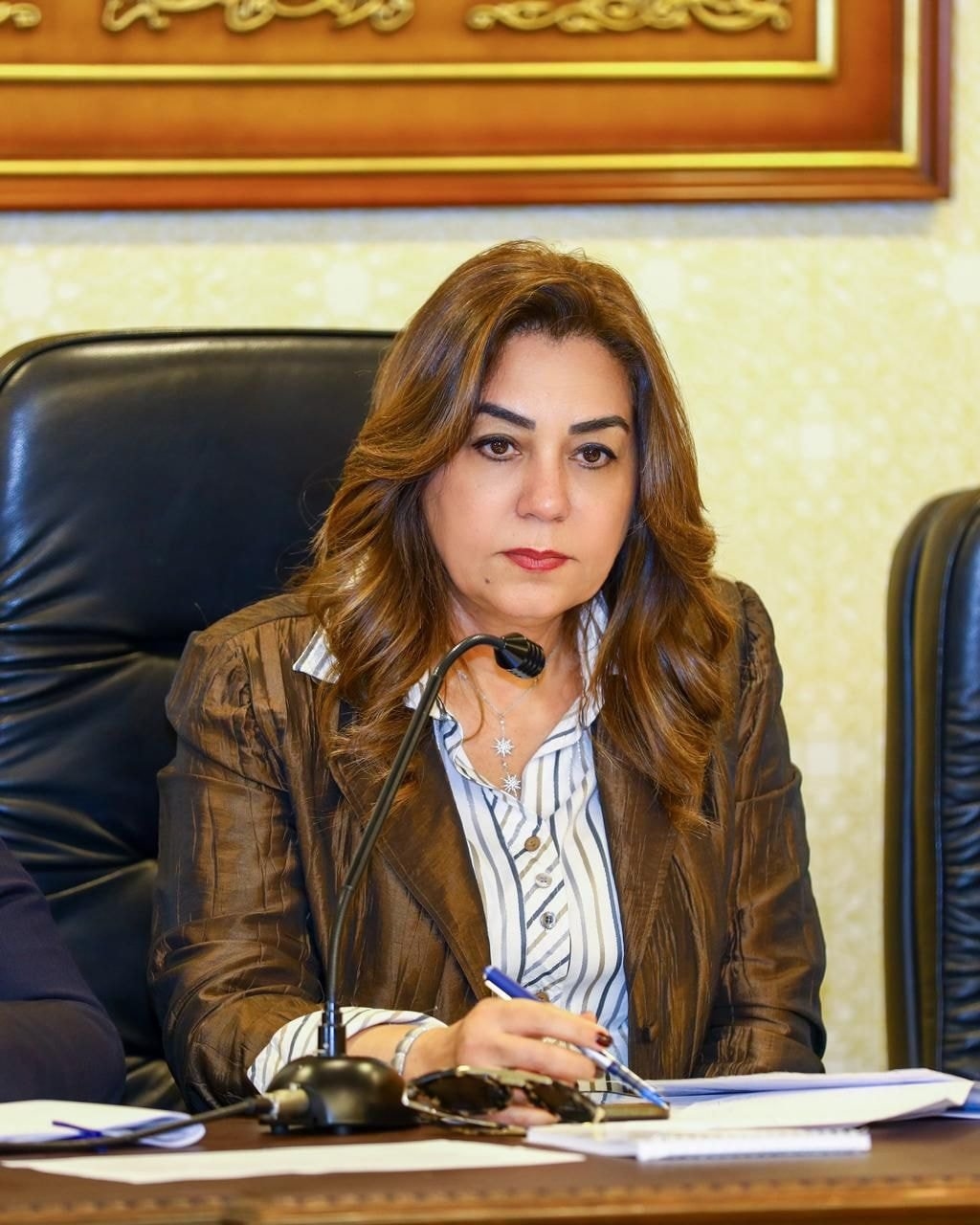 وزيرة التنمية تتابع تطورات حادث الطريق الإقليمي مع محافظي المنوفية والجيزة