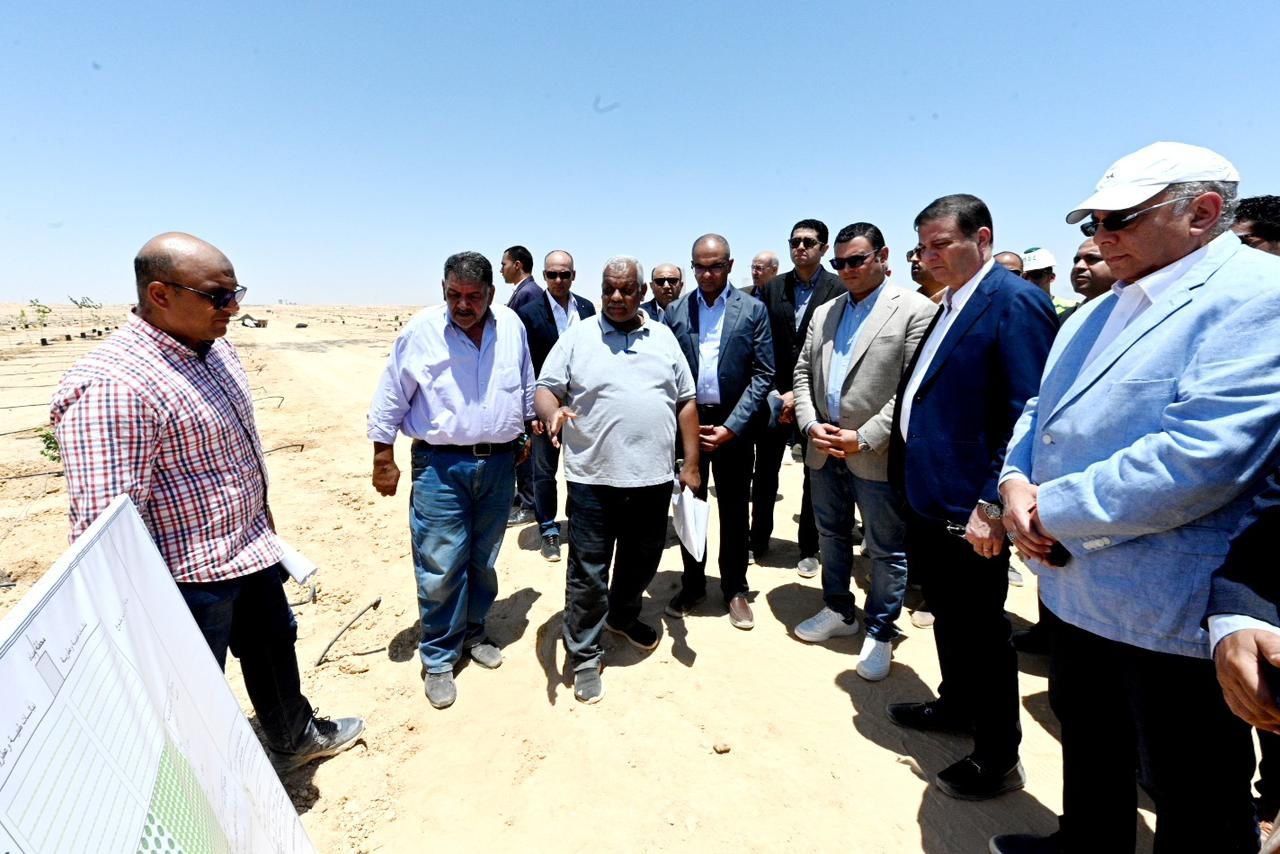 وزيرا الإسكان والزراعة: إجراء تجارب لإقامة بعض الزراعات بمدينة العلمين الجديدة
