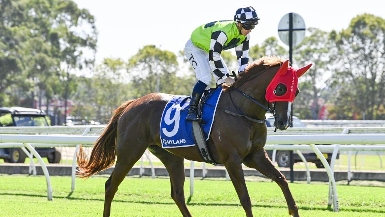 Randwick-Kensington preview: Strong hand has Ciaron Maher in box seat