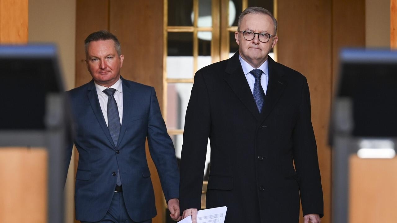 Albanese and Bowen ‘know very little' about the Australian energy sector