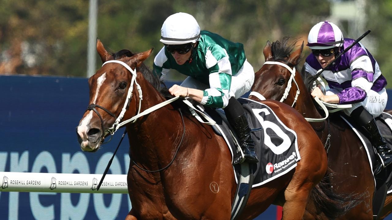Via Sistina headlines star-studded Randwick trials as Horse of the Year finalists revealed