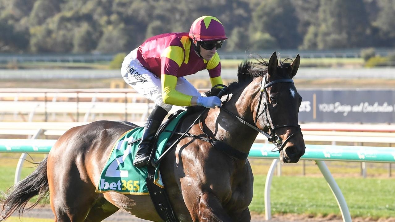 Fieldelo aiming to upstage She's An Artist in Creswick Stakes at Flemington