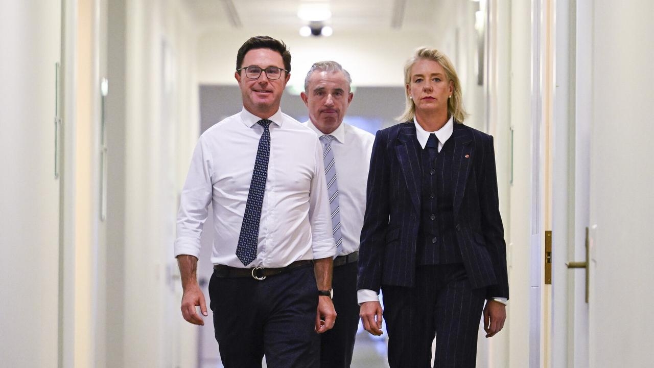 National Party's energy plan is ‘currently broken'