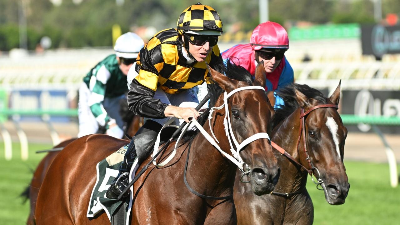 Glamour mare Joliestar has drawn a horror gate for Group 1 Kingsford Smith Cup