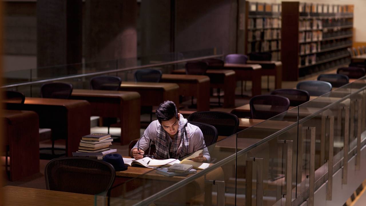 Criterion: IDP Education's share plunge is a harsh lesson for the overseas student industry