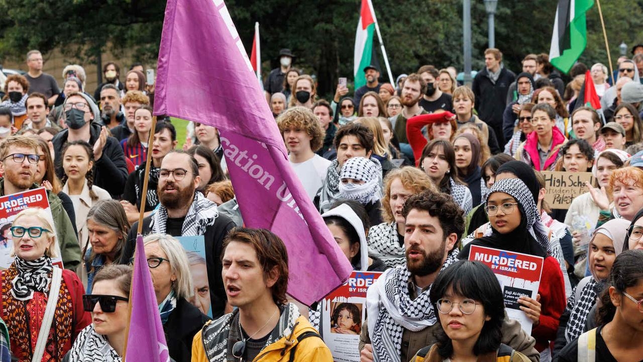 University of Sydney ‘did a good job' in handling pro-Palestine encampment despite criticism, inquiry told