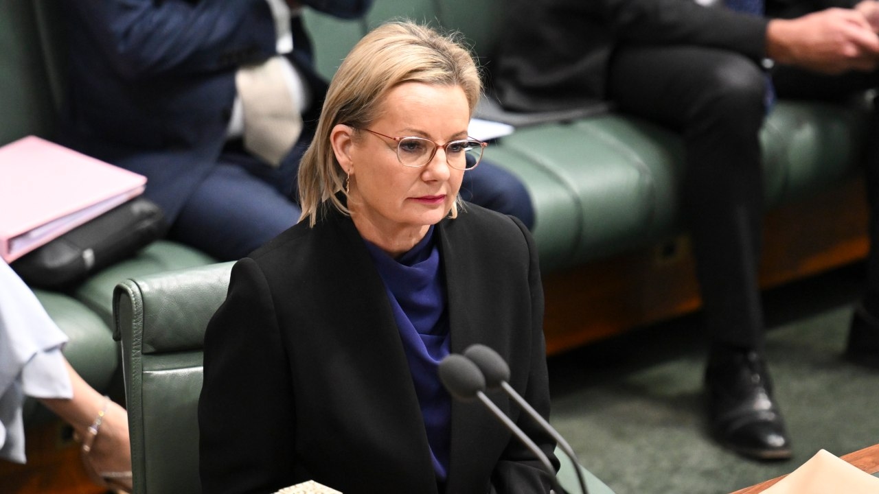 Sussan Ley's approval rating dips while US tariff threat remains voters' key concern according to Newspoll