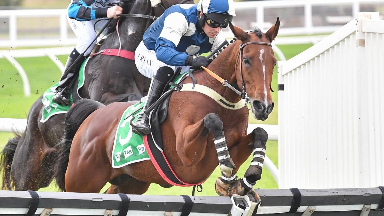 Imported jumper Loft could chase Melbourne Cup start in Andrew Ramsden at Flemington