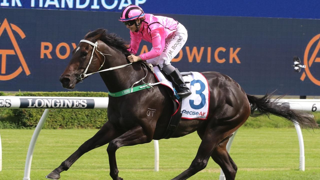 Wagga preview: Trainer Gary Nickson has bold frontrunner Felix Majestic primed for success in the Wagga Town Plate