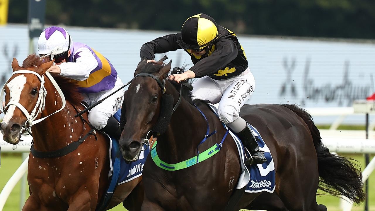 Casual Connection's winning form holds the key to Stayer's Cup
