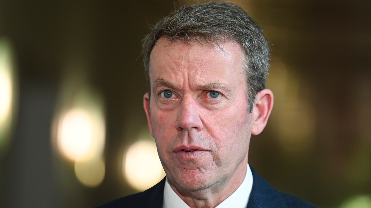 Dan Tehan flags gas is crucial moving forward as Coalition's net zero review could take up to a year to settle on final outcome