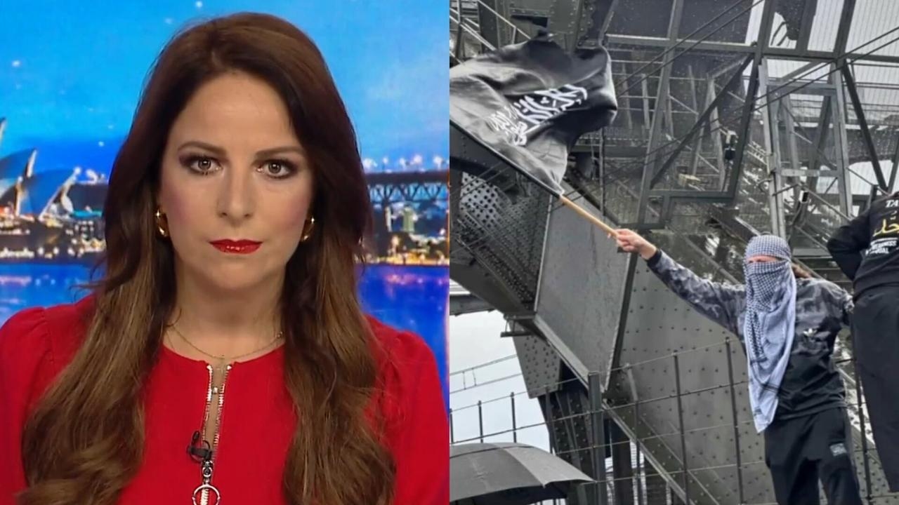 ‘Defiling our national icon': Sharri Markson rips into ‘vile' Harbour Bridge protestors
