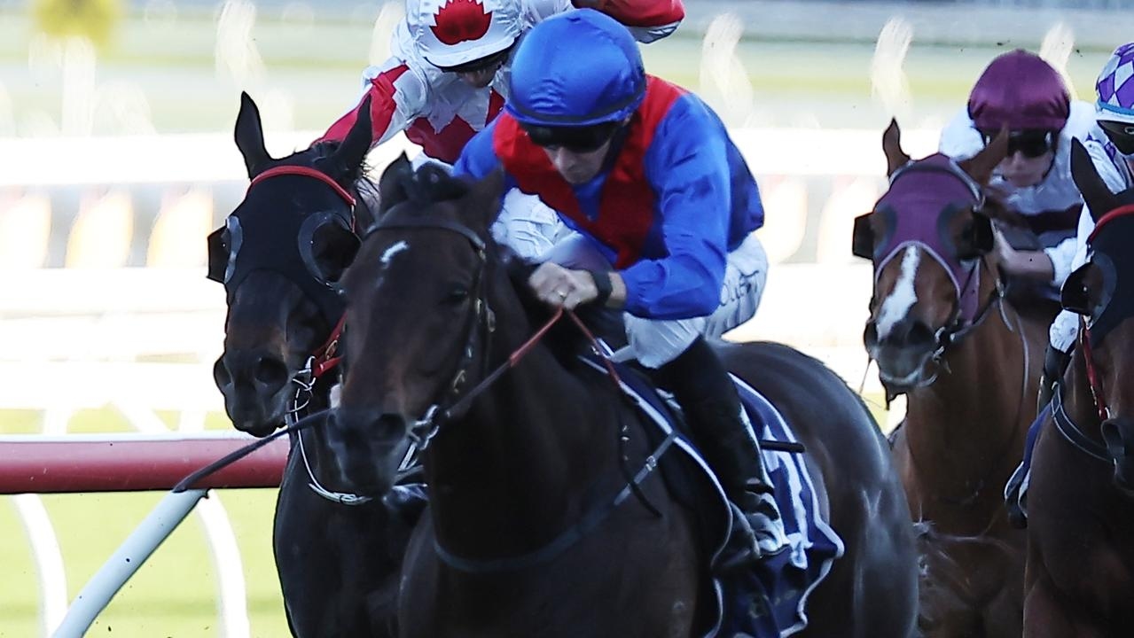 War Eternal and Highlights to line up Saturday as Bjorn Baker looks to Winx Stakes with top seeds