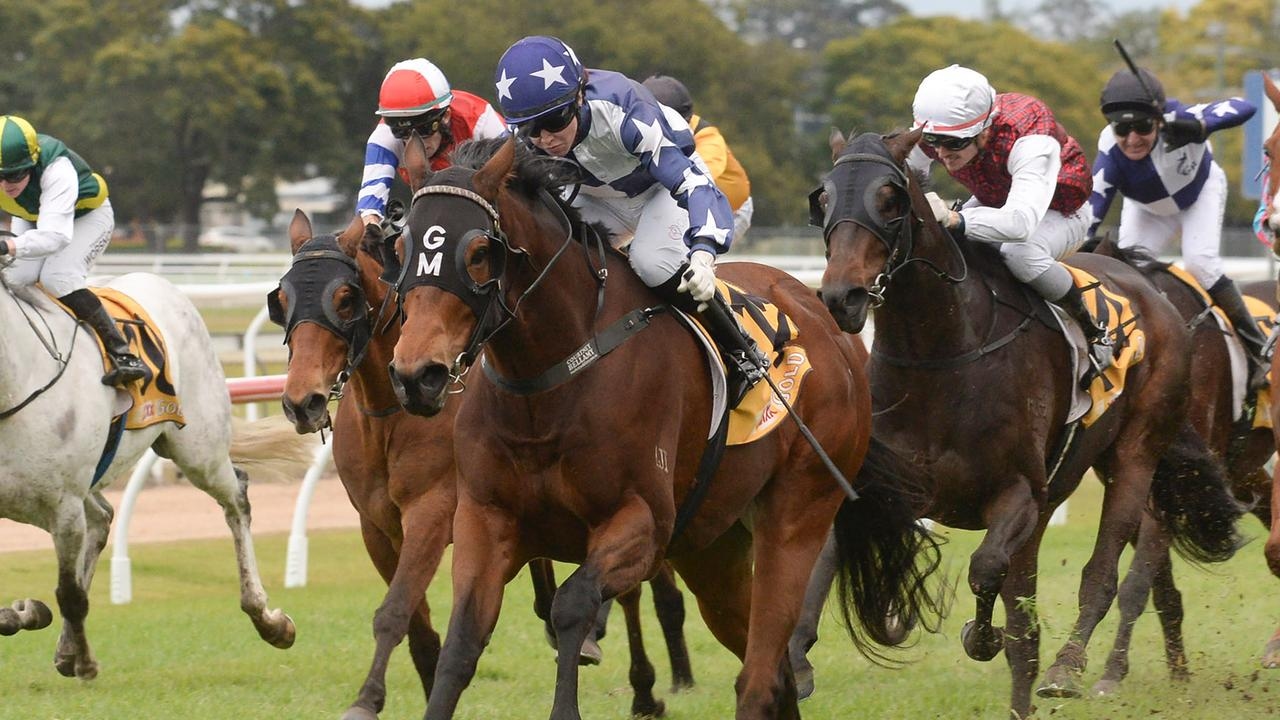 Coffs Harbour preview: Wet conditions and home track advantage can help Ostracised in his Cup bid