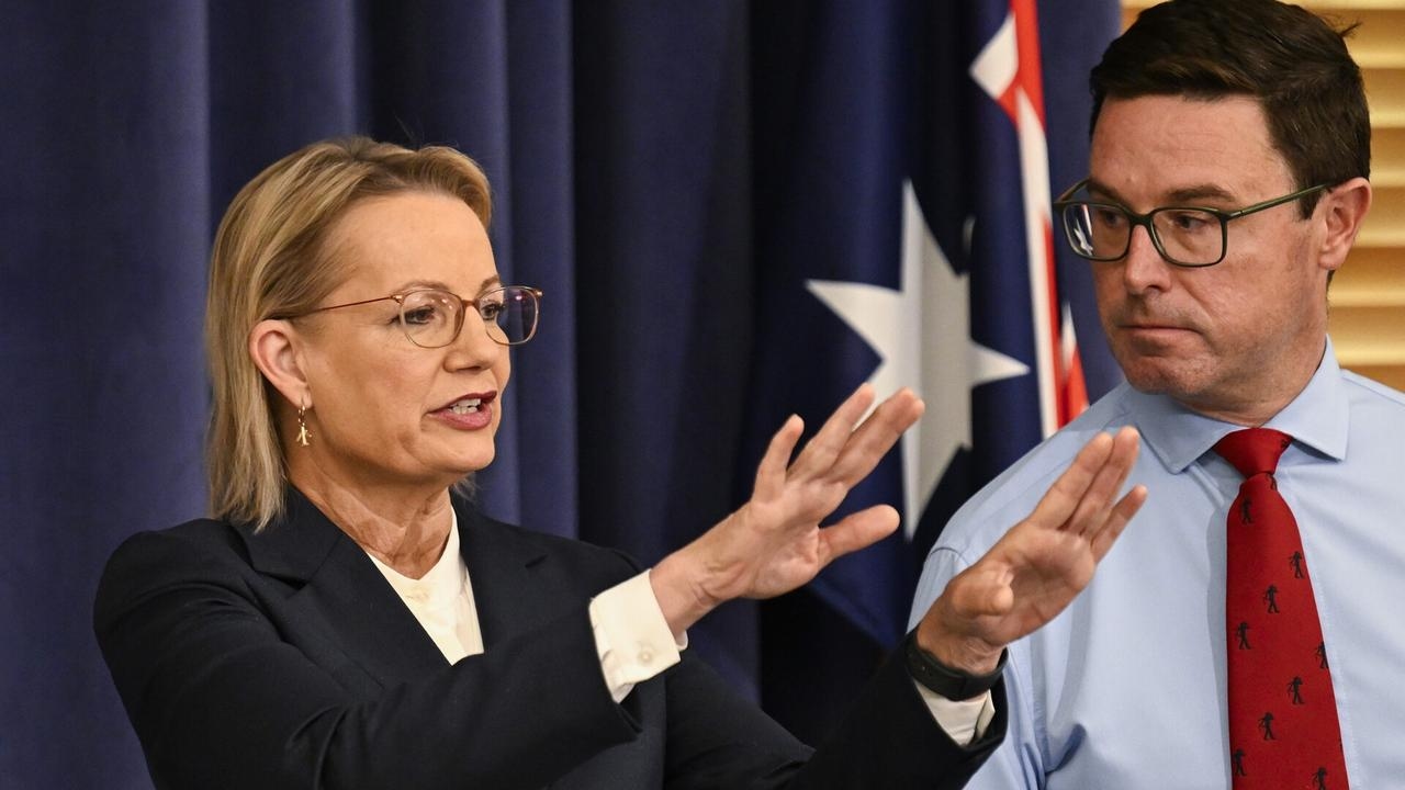 ‘Don't know what their values are': Liberal Party has lost its way