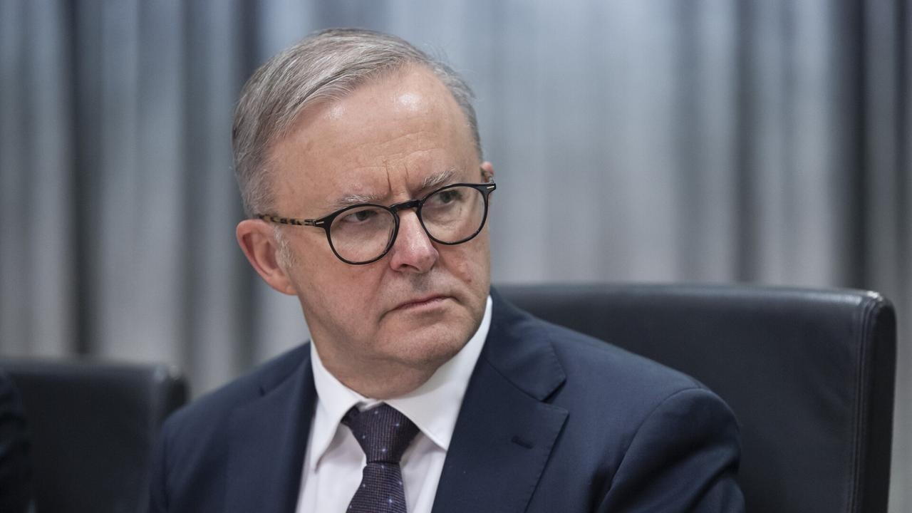 ‘Trades in fear': Albanese's net zero ‘shtick'