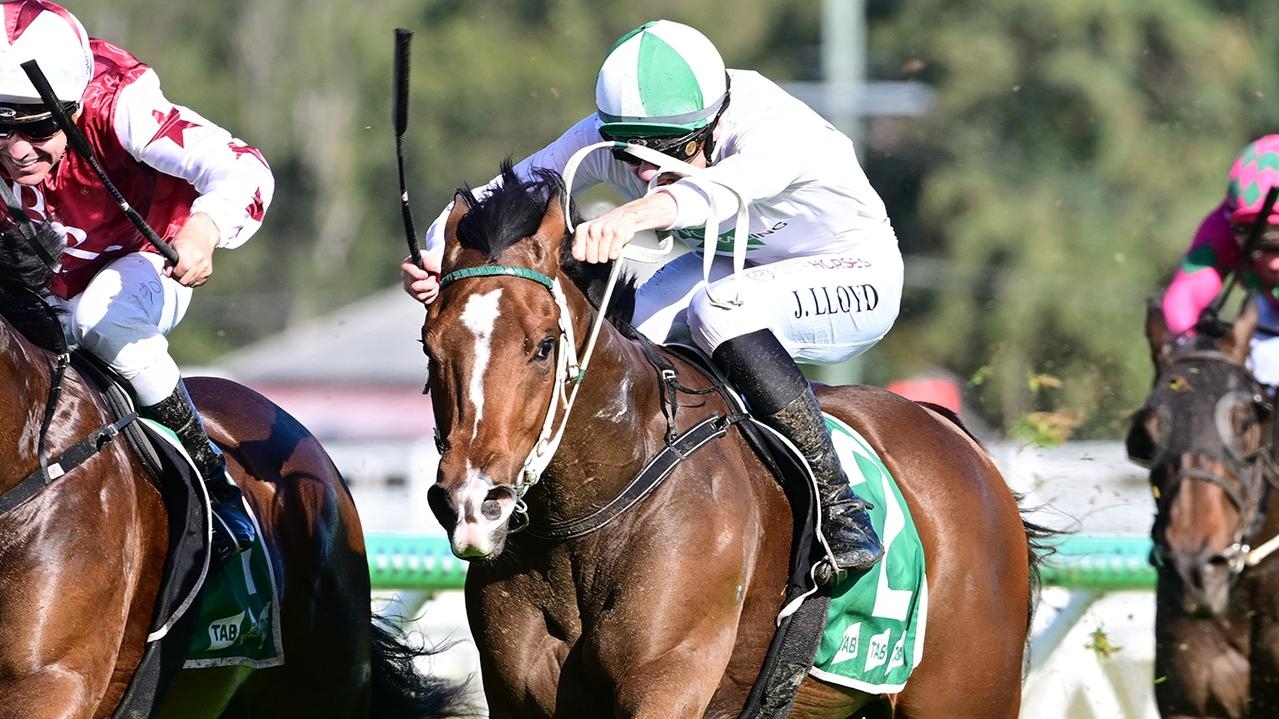 Call Da Vinci has BRC Sires' Produce odds slashed after Ipswich win on Wednesday
