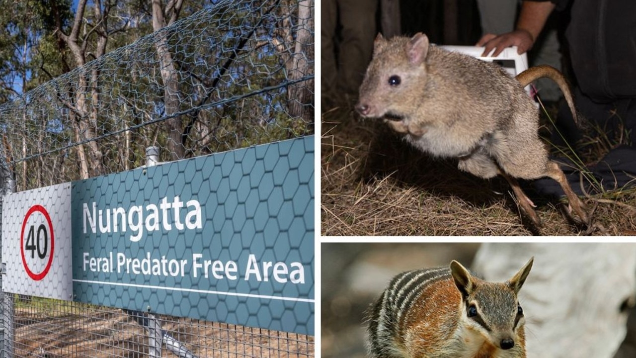 Aussie park you can see ‘extinct' animals