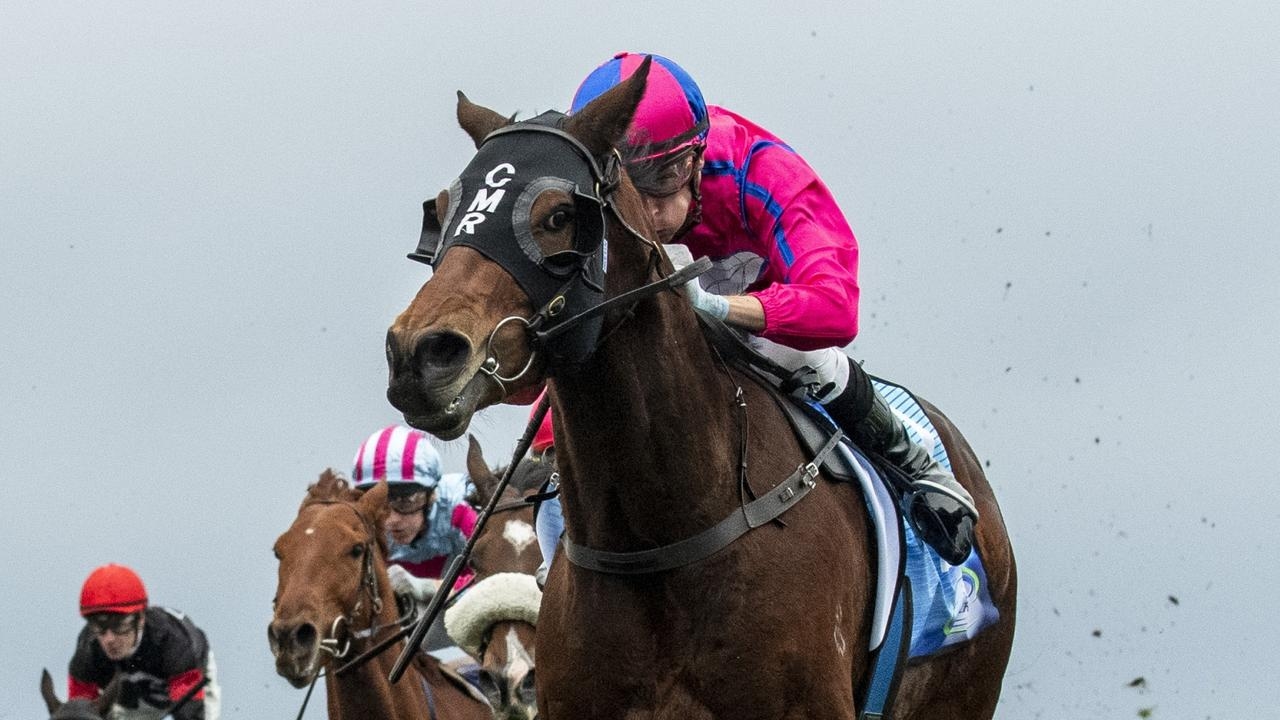 Trainer Ciaron Maher chasing another Bletchingly Stakes win with Recommendation