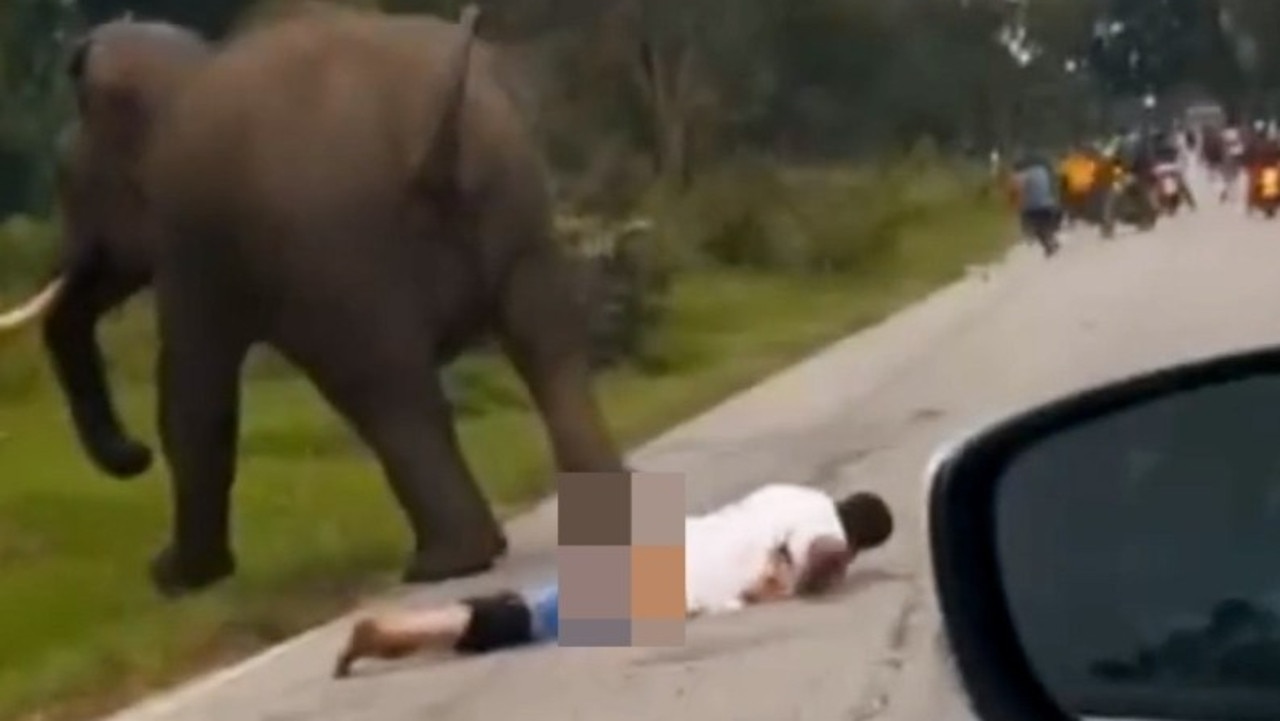 Moment tourist chased and trampled by elephant