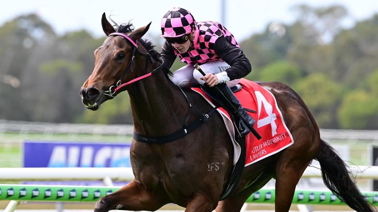 2025 The Archer: Trainer Robert Heathcote saddles up Cosmo Centaurus