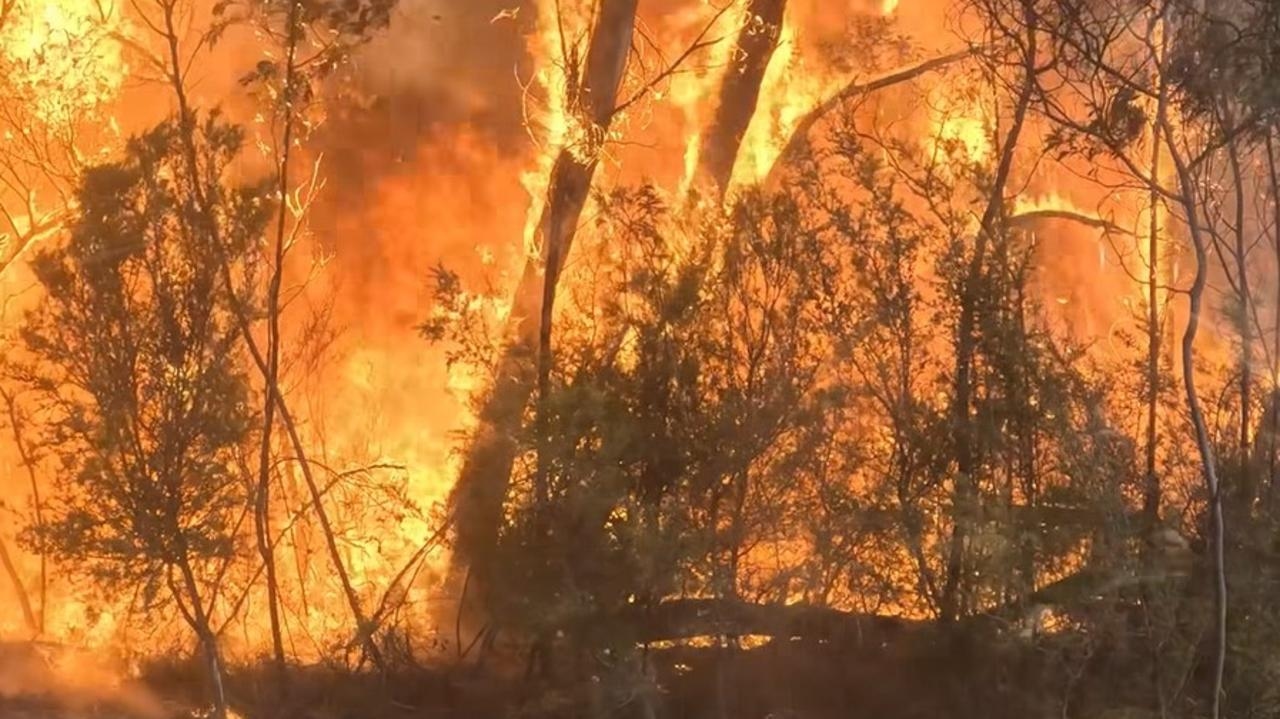 Latest poll shows Aussies support climate action to prevent risks from extreme weather events