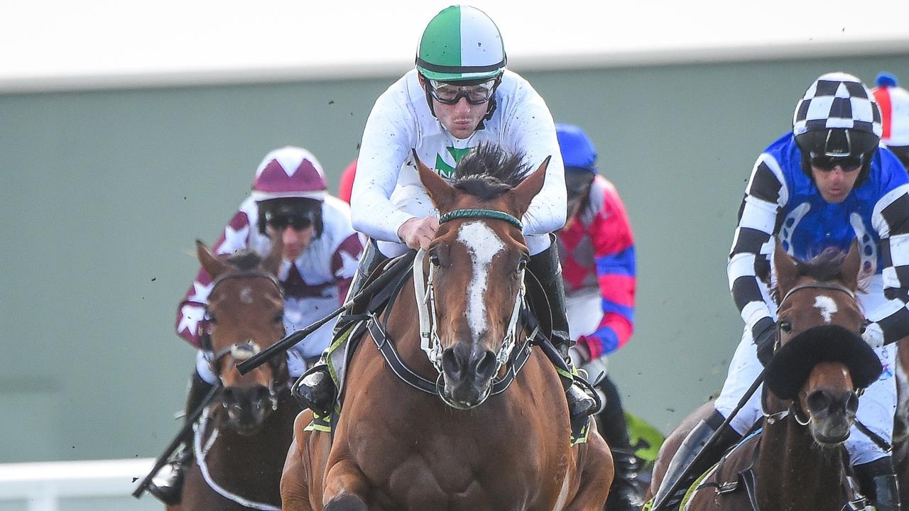 Owner has faith teen rider can pull off miracle result in Grafton Cup in $101 outsider
