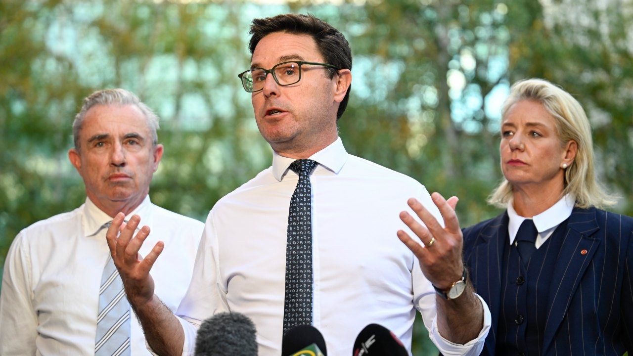 ‘I don't care if I lose my job': Nationals leader David Littleproud unfazed by rumours of Nationals' leadership plot
