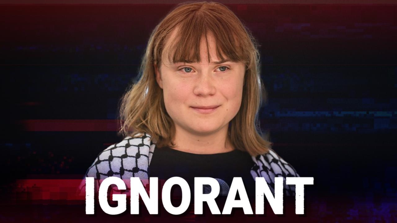 Greta Thunberg ‘refused' to watch video about Hamas' attacks against Israel