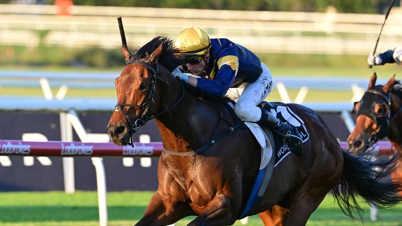 The curious case of the Stradbroke Handicap betting market