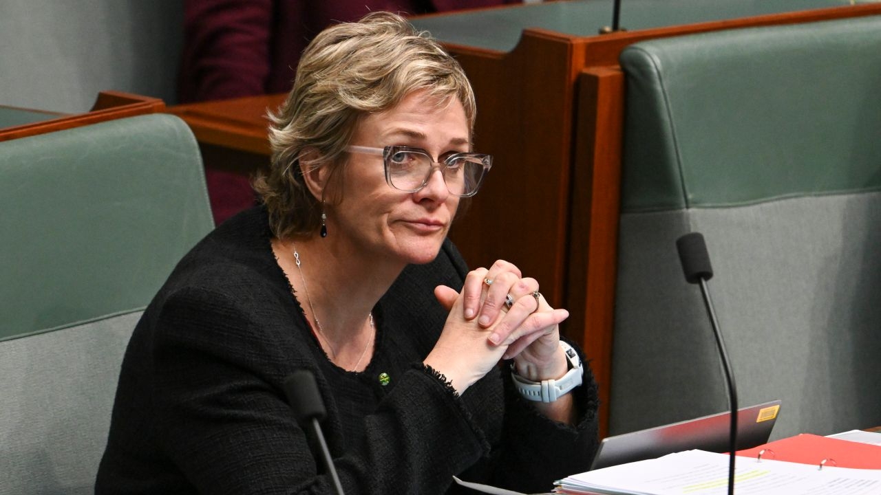 ABC journalist Sally Sara lets Zali Steggall spout 'absolute tosh', while Niki Savva bags ALP's right wing in 'overwritten' think piece
