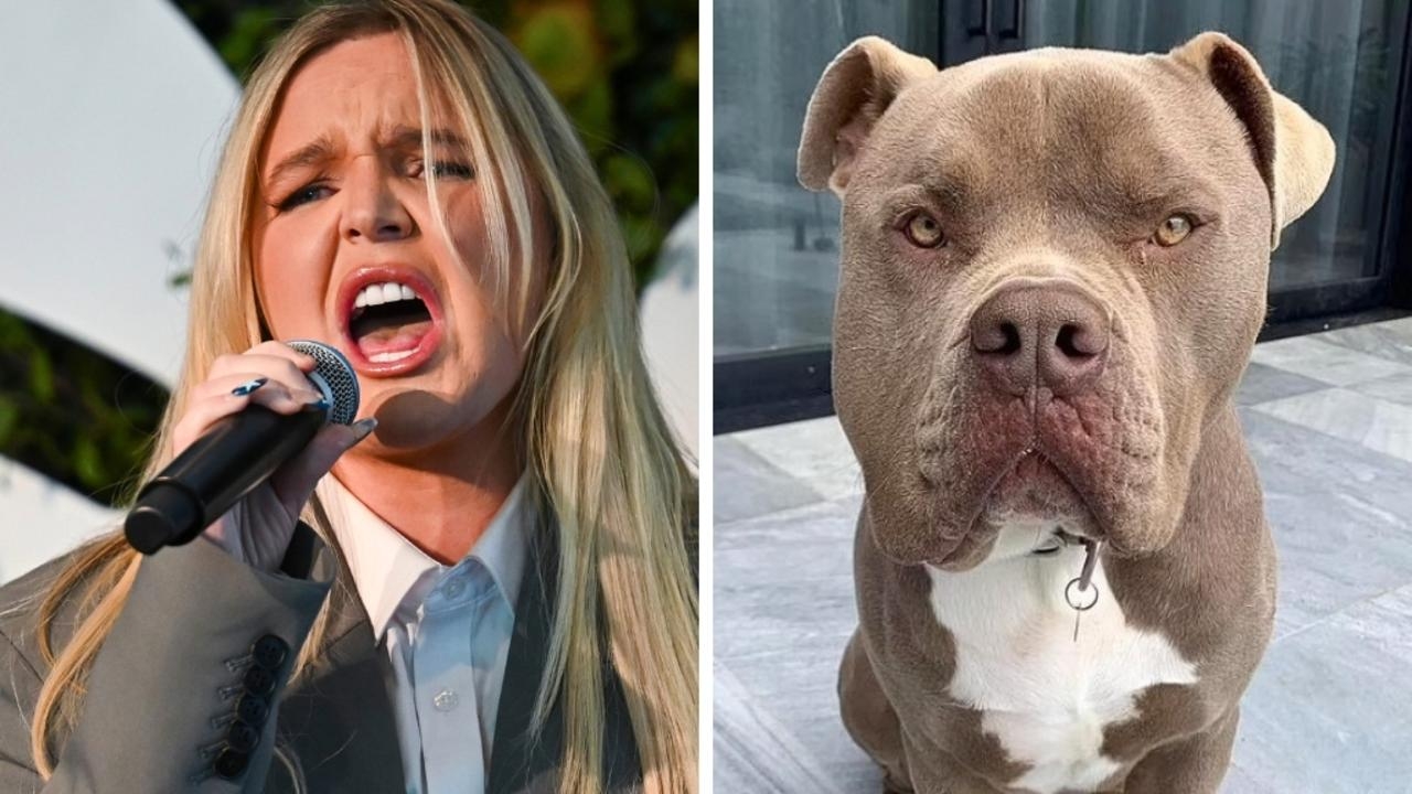 Australian singer Tones and I fined over dog attack that saw 17-year-old cavoodle torn apart