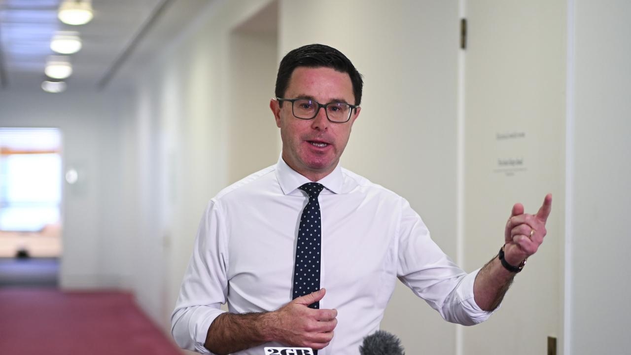 David Littleproud defends Nationals leadership