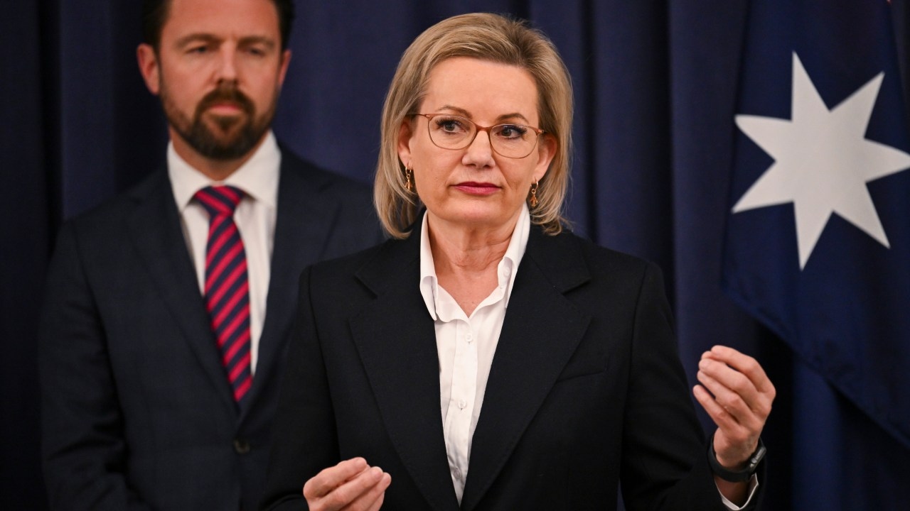 Coalition leader Sussan Ley addresses accusation she is ‘dodging' net zero policy decision as opposition remains divided